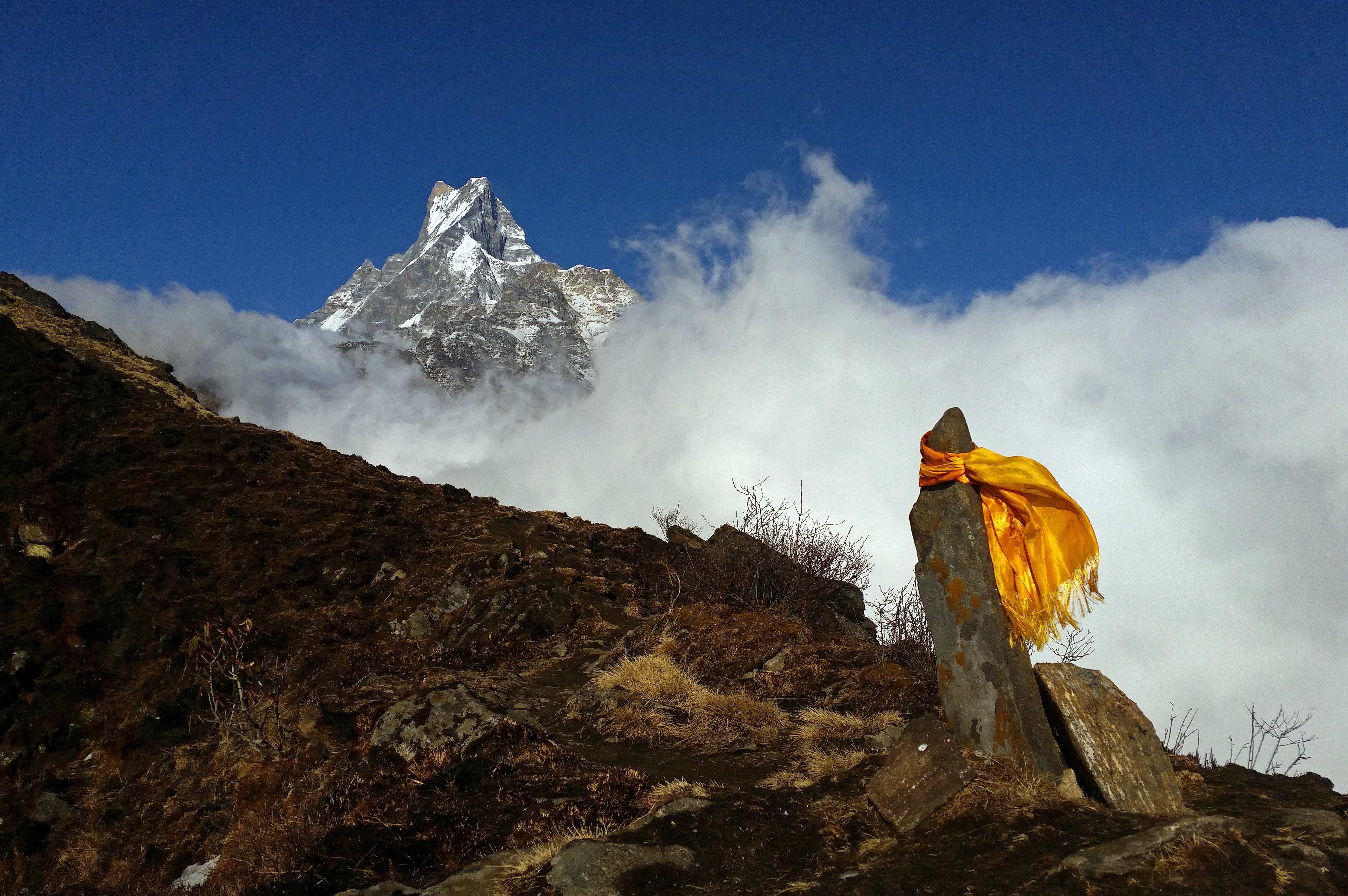 Mardi Himal Trek - 10 Days tour package featured image