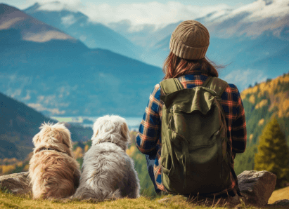 Collaboration Beats Competition blog post image